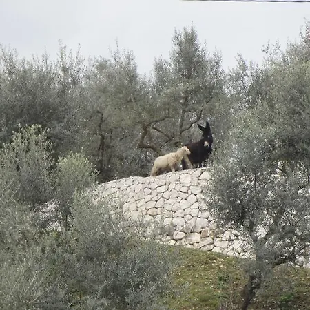 Clivus Hethea Civitatis